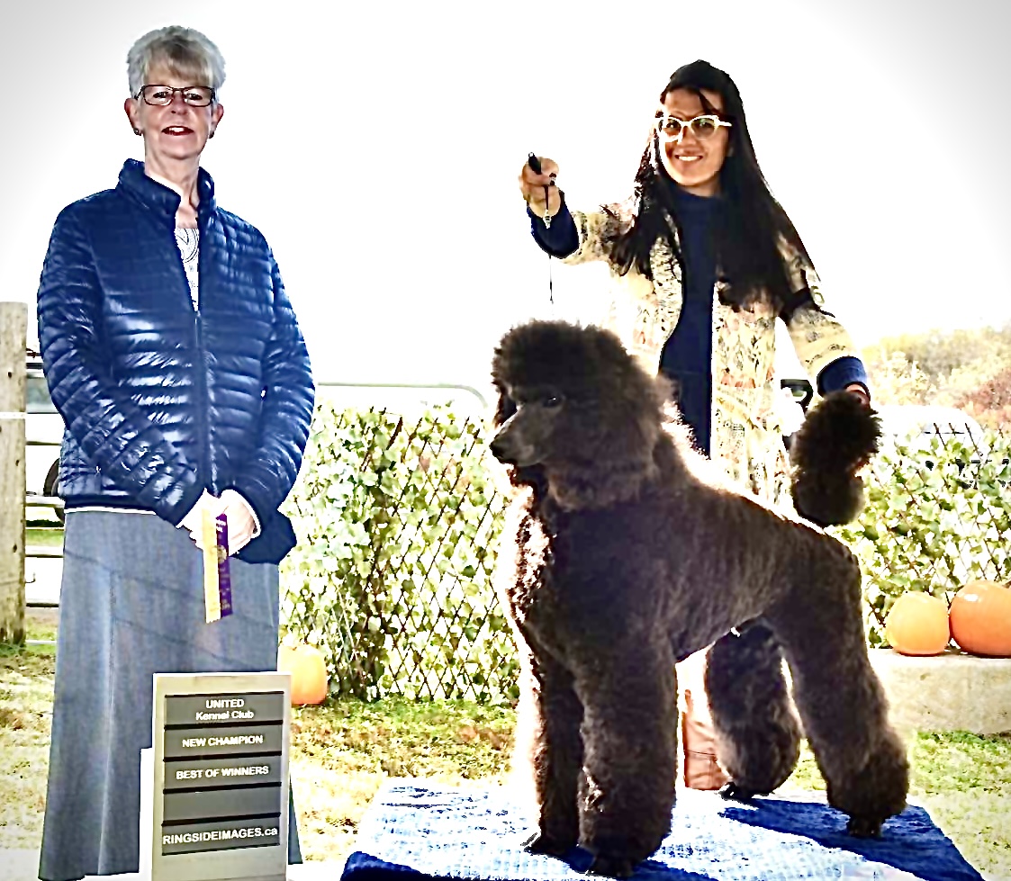 TESLA - I'm CKC Champion of course