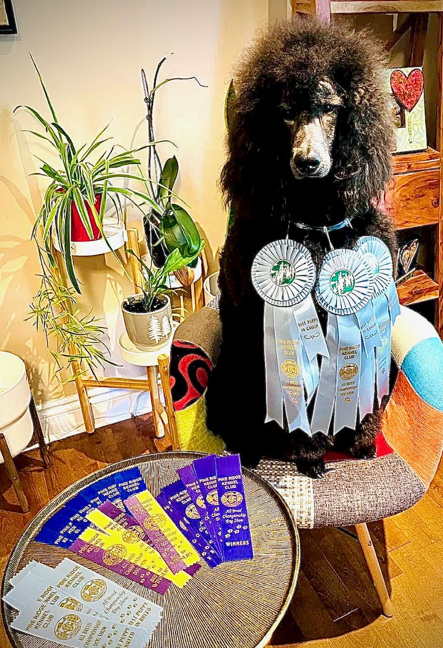 TESLA - Just bragging