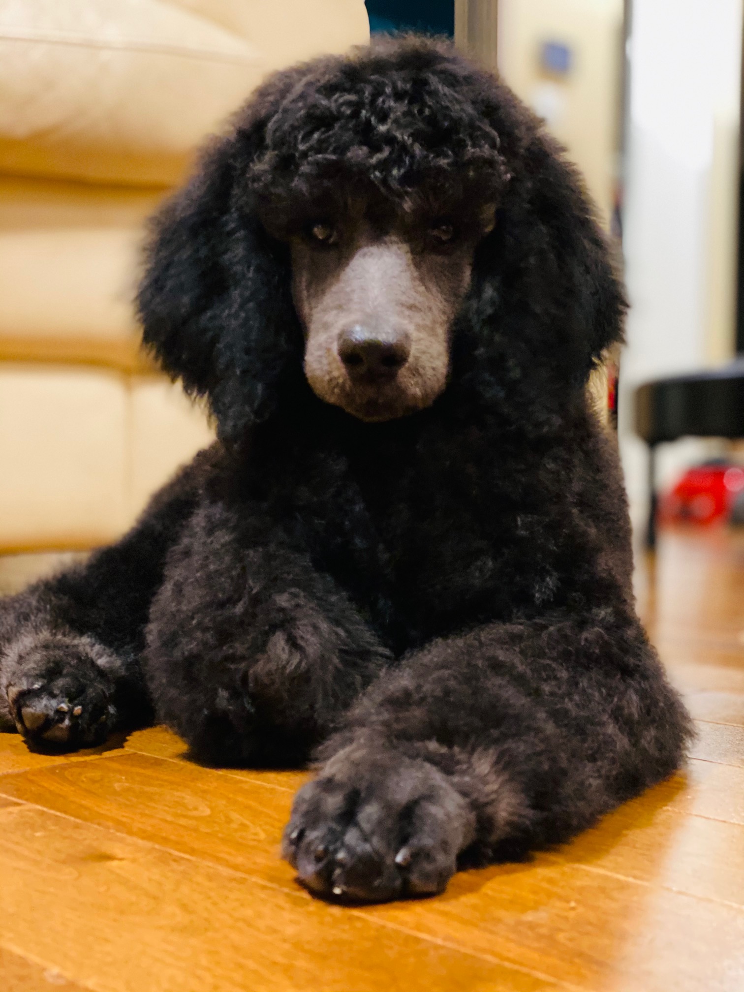 TESLA - When I was young